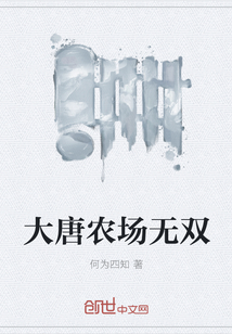 大唐农场无双