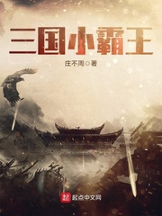 三国小霸王