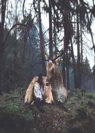 小村姑寻嫁记事簿