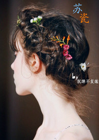 重生之苏瓷（h、np）