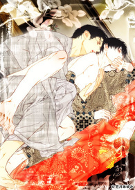 私生子的後宫简