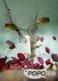 百合花开(暂时停更)