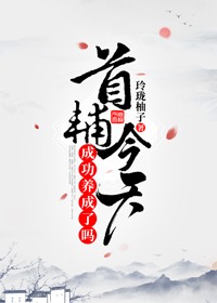 首辅今天成功养成了吗