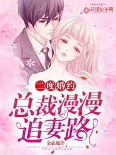 二度婚约：总裁漫漫追妻路