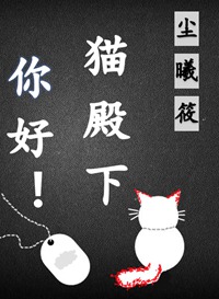 你好！猫殿下