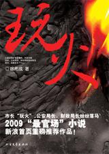 惊心动魄的官场小人物挣扎史：玩火