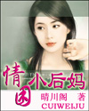 情困小后妈