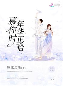 慕你时年华正恰