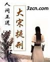 人间正道之大宋提刑