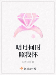 明月何时照我怀