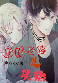 我的老婆是头猪