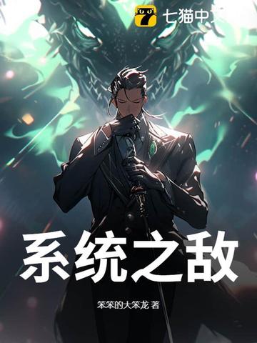 系统之敌