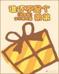 谁还不是个弟弟[综英美]