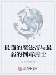 最强的魔法帝与最弱的倒霉骑士