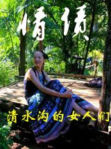 情债：清水沟的女人们