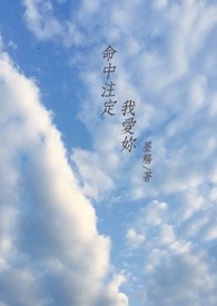 命中注定我爱你(GL)