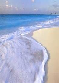 我是御姐控 〝坑〞