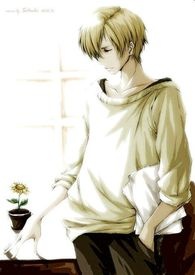 柔情虚伪你の恋