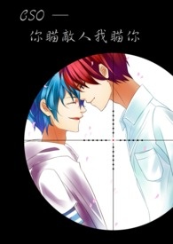 CSO─你瞄敌人我瞄你