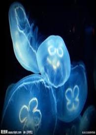 庄家系列1 -- 物「希」为贵 (已完结)