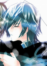 两个男孩的故事