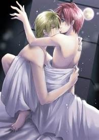 中短篇小说---官配?!男二?!